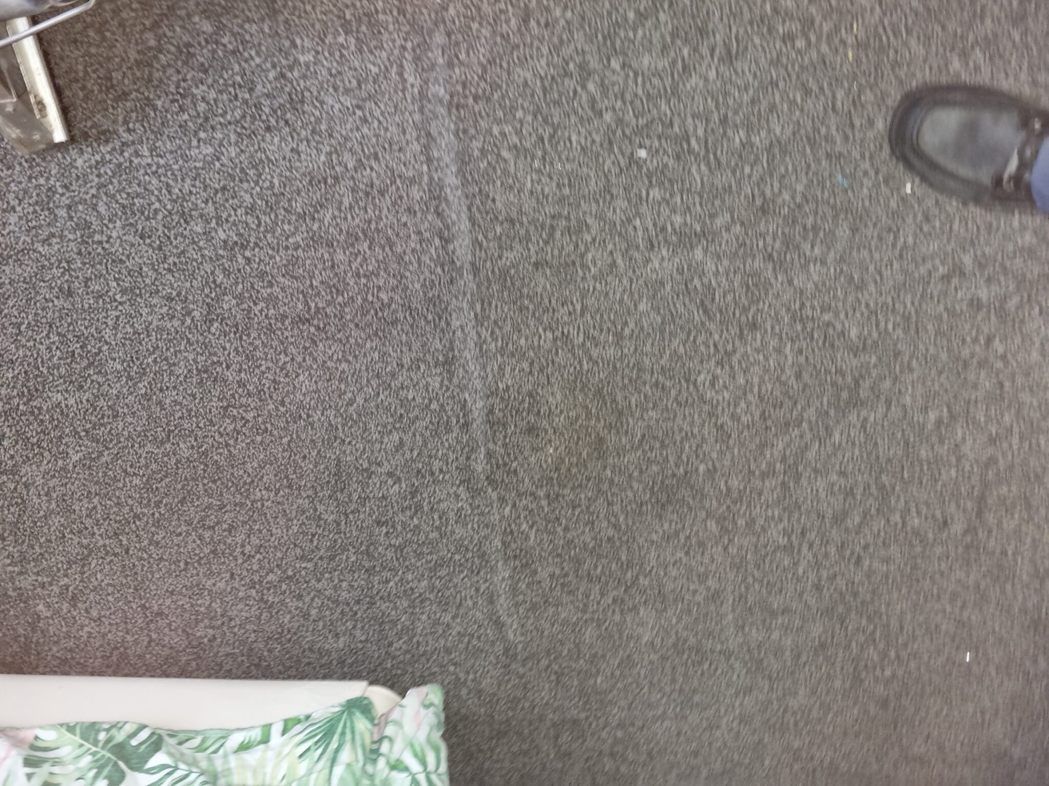 Carpet Cleaner Capricorn Cleaning Specialists Sunderland