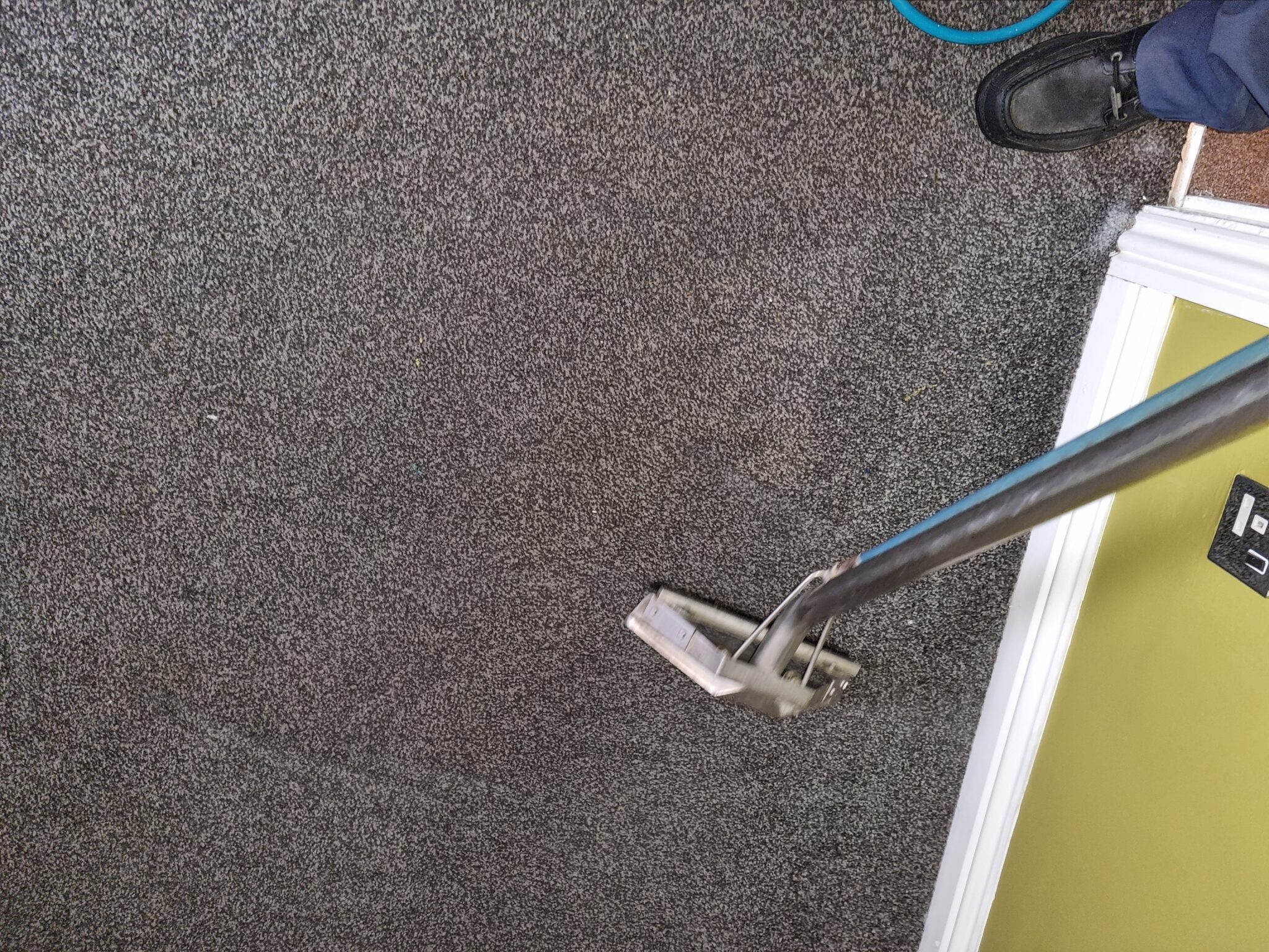 Carpet Cleaner Capricorn Cleaning Specialists Sunderland