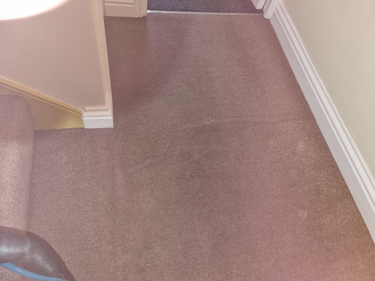 Capricorn Cleaning Specialists Carpet Cleaners Sunderland