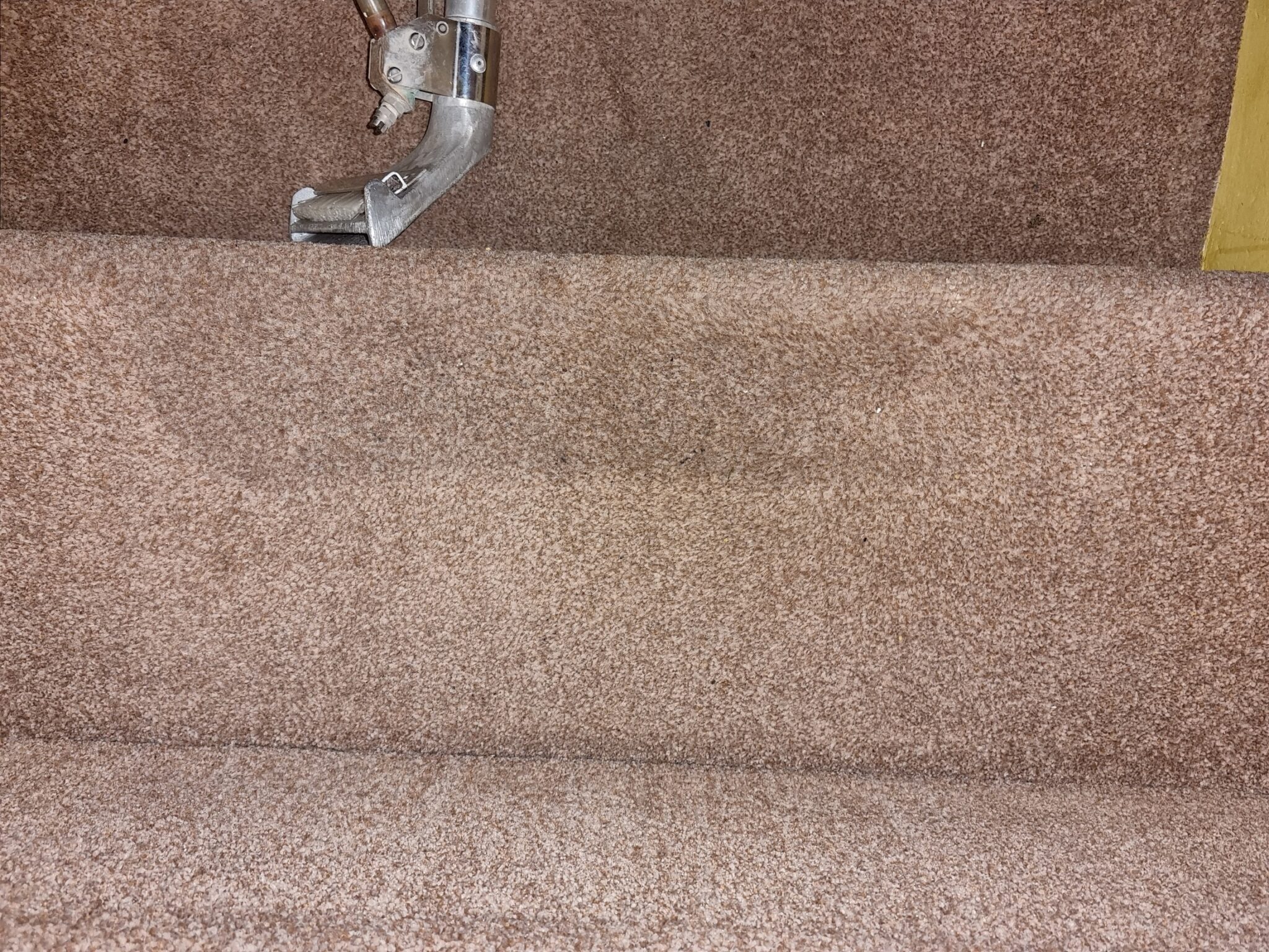 Carpet Cleaner Capricorn Cleaning Specialists Sunderland