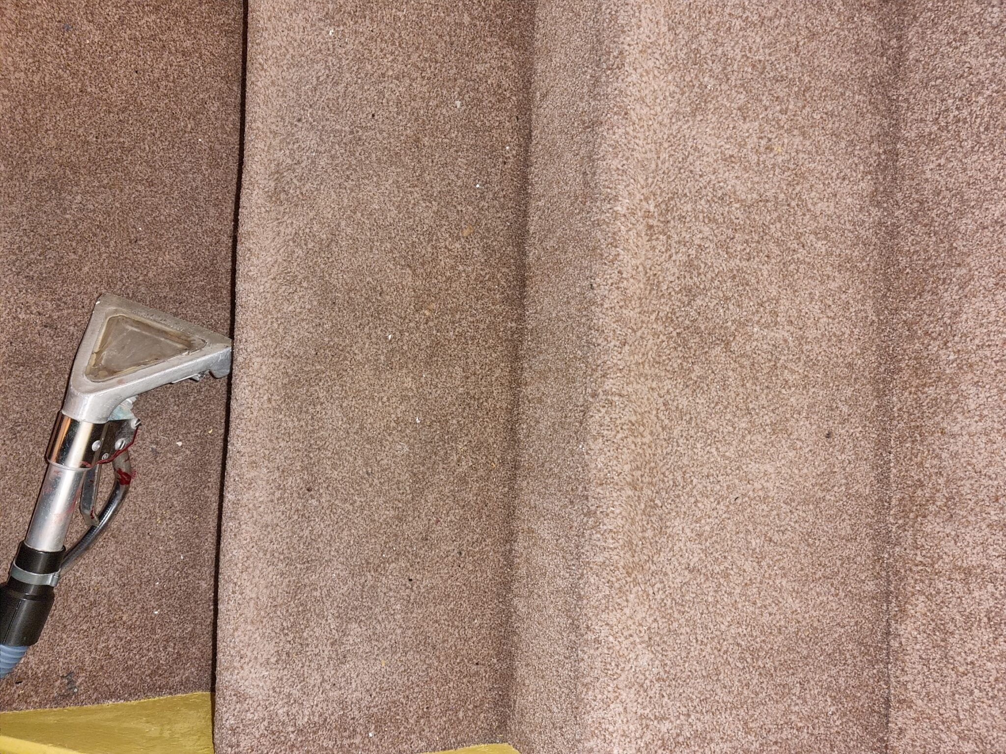 Carpet Cleaner Capricorn Cleaning Specialists Sunderland