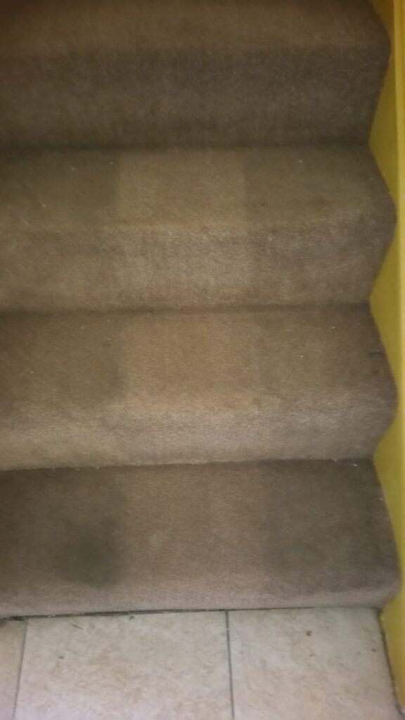 Carpet Cleaner Capricorn Cleaning Specialists Sunderland