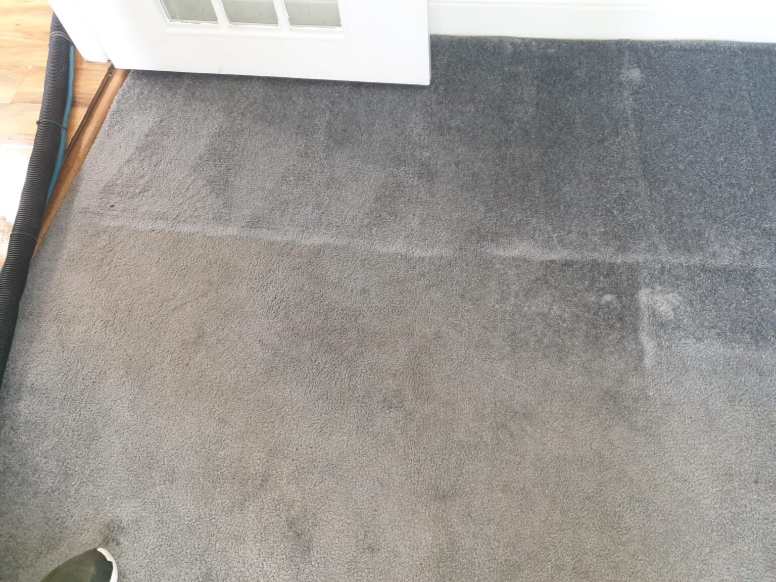 Carpet Cleaner Capricorn Cleaning Specialists Sunderland